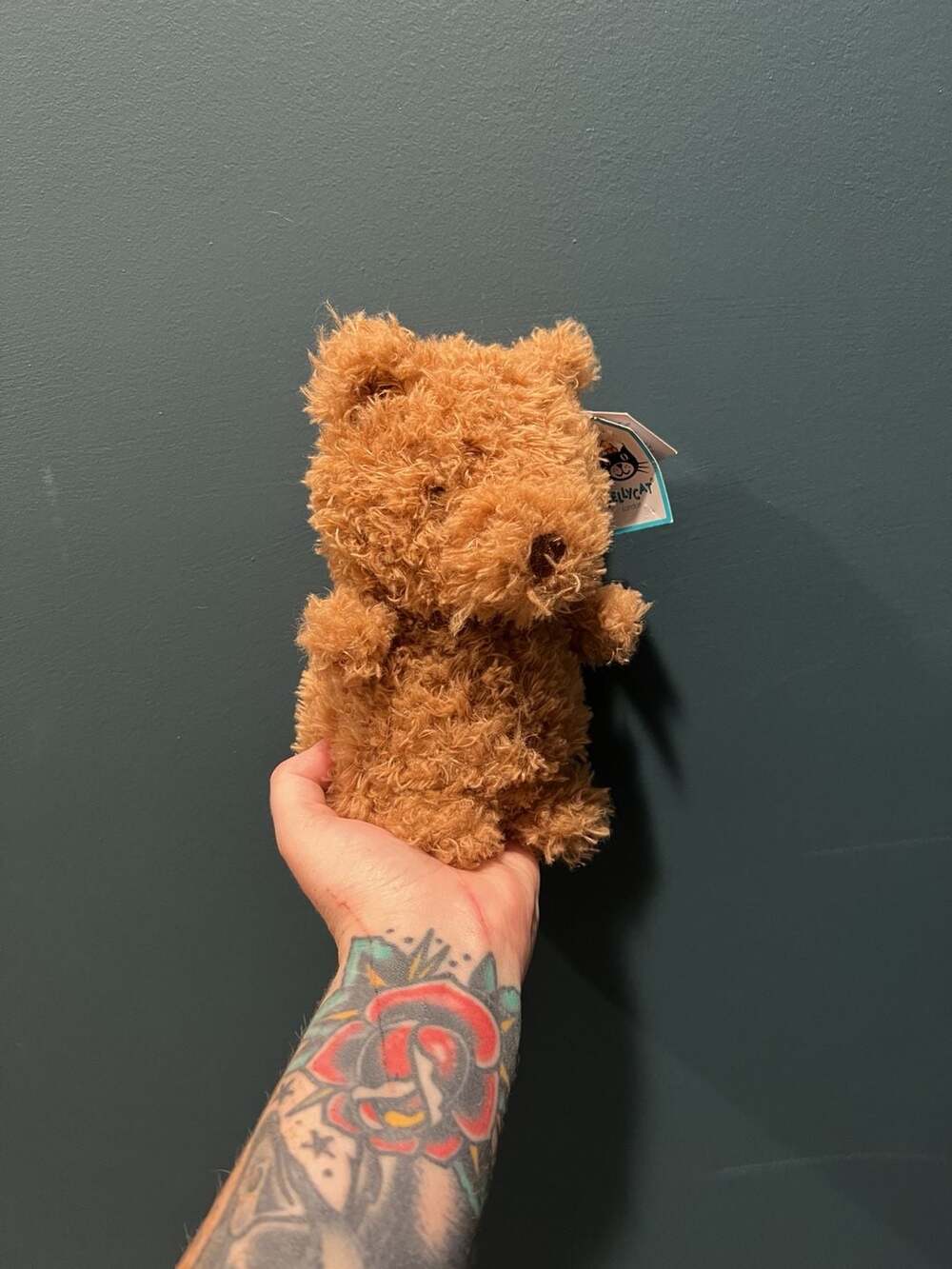 Jellycat Tum Tum Little Bear Plush Stuffed Animal Toy